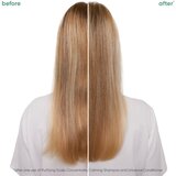 Biolage ScalpSync umirujući šampon 250 ml | shoptok.hr