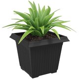  Kvadratna saksija za cvijeće 6 pcs Crna 33 x 33 x 26 cm | shoptok.hr