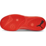 Puma Eliminate Pro II Muške tenisice za dvoranu, crvena, veličina 45 | shoptok.hr
