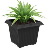  Kvadratna cvetlična posoda 24 pcs Črna 23 x 23 x 17,5 cm, (5000207827) | Shoptok.si