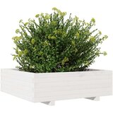  Vrtna sadilica bijela 80 x 80 x 26 5 cm od masivne borovine | shoptok.hr