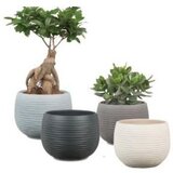  Saksija 744/16 taupe Cijene