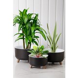 Aberto Design set vaza TRPTSKS-2-3, 3 komada, crni Cene