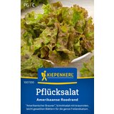 KIEPENKERL Zelena solata "American Brown" - 1 pkt. Cene