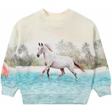 Molo Sweater majica 'Maxi' akvamarin / smeđa / zelena / vuneno bijela