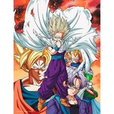 Dragon Ball Stakleni poster Z Heroes vs Cell, 30 x 40 cm Cijene