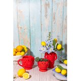 Sass & Belle Keramičen okrasni cvetlični lonec ø 10 cm Lobster – | Shoptok.si