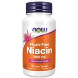Now Foods Niacin - Vitamin B3 NOW, 250 mg (90 kapsul) Cene