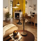 Eglo 49456 - Luster na sajli STOCKBURY 1xE27/60W/230V Ø 36 cm | Eponuda.com
