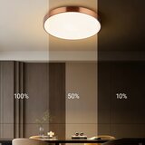  Immax NEO 07321L-LED stropna svetiljka NEO LITE SEMPLICI, prigušiva, 36 W / 230 V, prečnik 40 cm, bakarna, s daljinskim upravljačem | Eponuda.com