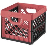 BAUHAUS Zložljiv zaboj (kvadraten, d 33,5 x š 33,5 x v 27,9 cm, 25 l) | Shoptok.si