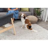 Trixie Higienske hlačke De luxe S-M/2 32-39 cm črne | Shoptok.si
