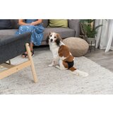 Trixie luksuzne zaštitne gaćice za pse – 6 veličina | Eponuda.com