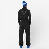 Salomon muške brilliant pantalone | ePonuda.com