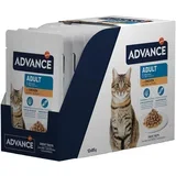 Advance Feline Adult piščanec - 24 x 85 g
