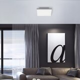 LEUCHTEN DIREKT 15550-16 - LED prigušiva svetiljka CANVAS LED/17W/230V + daljinski upravljač | Eponuda.com