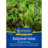 KIEPENKERL Solata za rezanje Babyleaf-mešanica - 1 pkt. | Shoptok.si