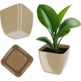 KADAX cvetlični lonec, cvetlični lonec, kvadraten, 16 cm, plastika, stojalo za rože, bež, (5000346656) | Shoptok.si