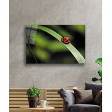 Wallity Slika 221JRS1348, 70x110 cm | Eponuda.ba