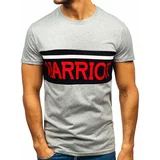 Kesi Men's T-shirt with print "Warrior" 100701 - grey,