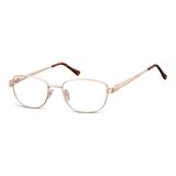 Berkeley naočare za kompjuter 796 C Cene