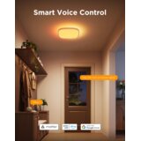 GOVEE 12INCH RGBWW + RGBIC Pametna Stropna Lampa | shoptok.hr