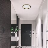 Globo 48918-24 - prigušiva led stropna svetiljka clarino, LED/24W/230V + daljinski upravljač | Eponuda.com