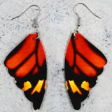  Naušnice BW-38776 - Tip2 KP38776 | shoptok.hr