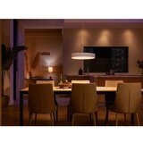 Philips LED viseća svjetiljka 33,5 W Enrave – | shoptok.hr