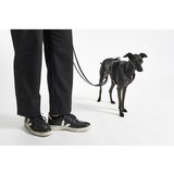 MiaCara Temno siva oprsnica velikosti XS dolžina 25 cm Modena Asphalt XS – | Shoptok.si