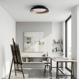  Brilagi-LED Prigušiva svetiljka ALVA LED/48W/230V 3000-6500K prečnik 51 cm crna + daljinski upravljač | Eponuda.com