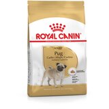 Royal_Canin pug adult 3 kg | Shoptok.si