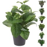  CVIJEĆE 26CM SORTO Cijene
