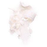 Notino Celestial Collection Full Moon Highlighter multifunkcionalni highlighter 5.2 g | shoptok.hr