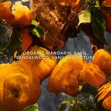 Guerlain Aqua Allegoria Mandarine Basilic Forte darilni set za ženske | Shoptok.si