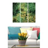 Wallity Set slika MDF1836724, 3 dijela | Eponuda.ba