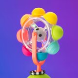 Sassy Light Up Rainbow Reel svjetleća igračka | shoptok.hr