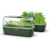  Rastlinjak in pladenj za gojenje L - BoQube "Green Edition" Cene