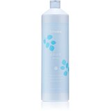 EchosLine Volume Shampoo šampon za volumen tankih las 1000 ml Cene