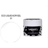  SECRETLY ECO LIQUID ACRYGEL 01 25ML Cijene