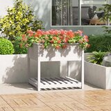 Maison Chic Visoka greda - Greda - Cvetlični Lonec s polico bela 82,5x82,5x81 cm trdna borovina, (21788904) | Shoptok.si