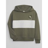 GAP Kids Hoodie - Boys Cene