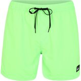 Quiksilver Kratke kopalne hlače 'EVDAYVL15 M JAMV GCZ0' svetlo zelena | Shoptok.si