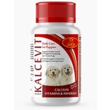 Dr. Sekiz Kalcevit 120g 100 tableta | ePonuda.com