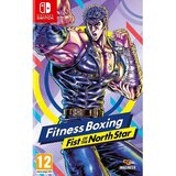 Imagineer fitness boxing: first of the north star (nintendo Cene