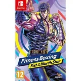 fitness boxing: first of the north star (nintendo
