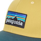 Patagonia P-6 LOGO TRUCKER HAT sarena | shoptok.hr