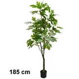 stablo smokve 185 cm 567313