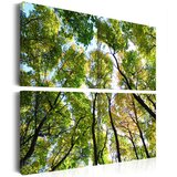  Slika - Treetops 90x90 Cijene