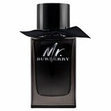 Parfem za muškarce Burberry Mr. Burberry Eau de Parfum EDP 150 ml | shoptok.hr